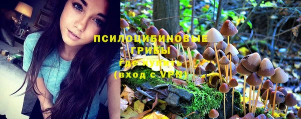 кокс Баксан